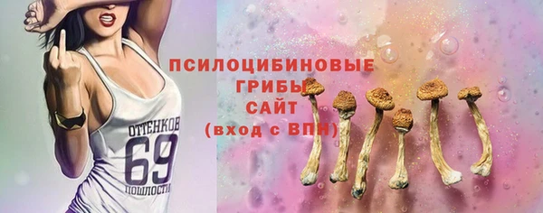 мяу мяу мука Абаза