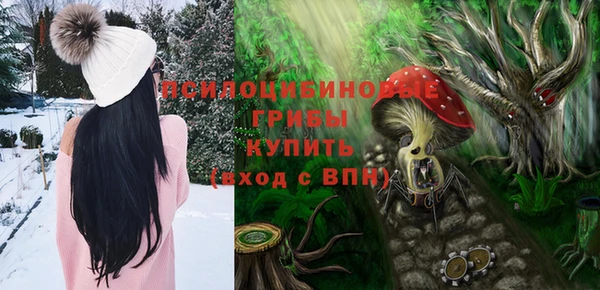 мяу мяу мука Абаза