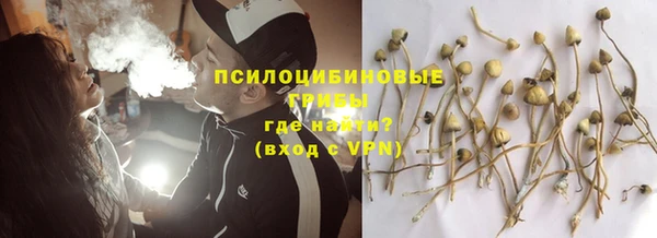 a pvp Абинск