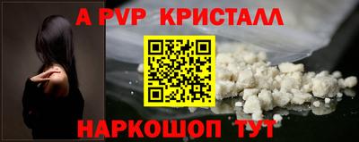 молекула духа Камышлов