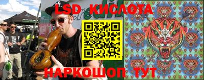 молекула духа Камышлов
