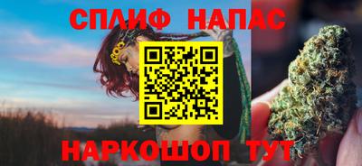 молекула духа Камышлов