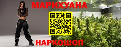 сатива Кандалакша