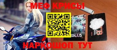 сатива Кандалакша