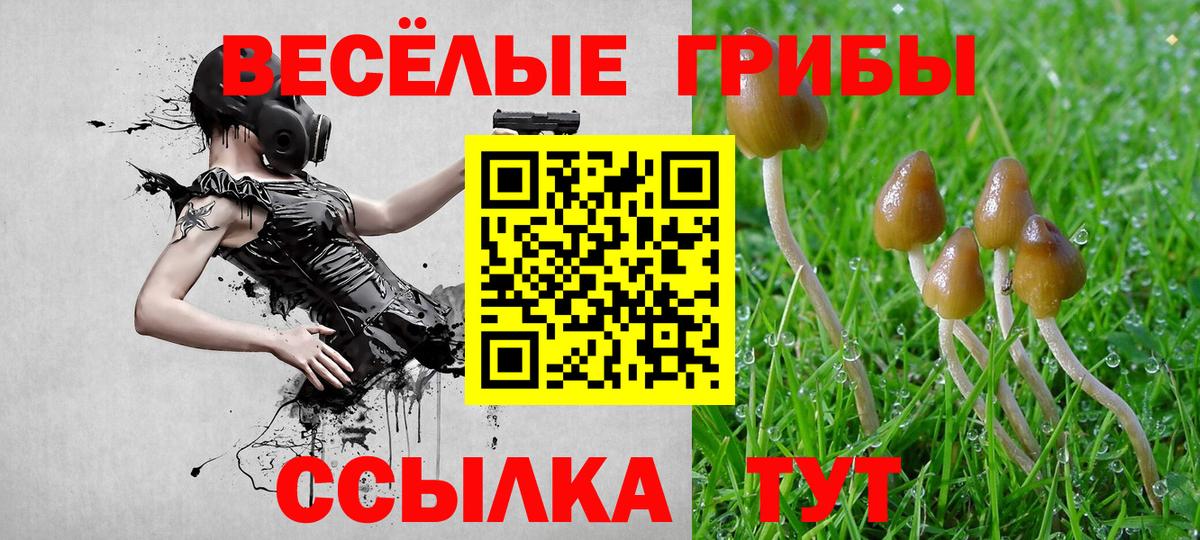Псилоцибиновые грибы MAGIC MUSHROOMS Миллерово