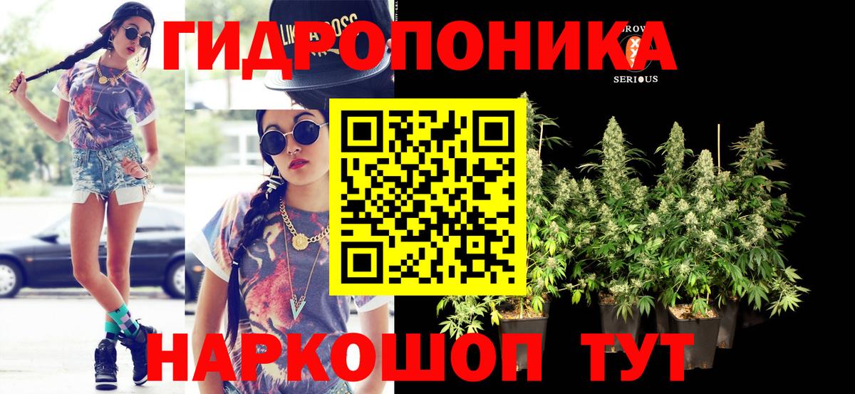 Шишки марихуана SATIVA & INDICA  Вход с VPN  Каннабис SATIVA & INDICA  Миллерово  Марихуана конопля  МАРИХУАНА Ganja 